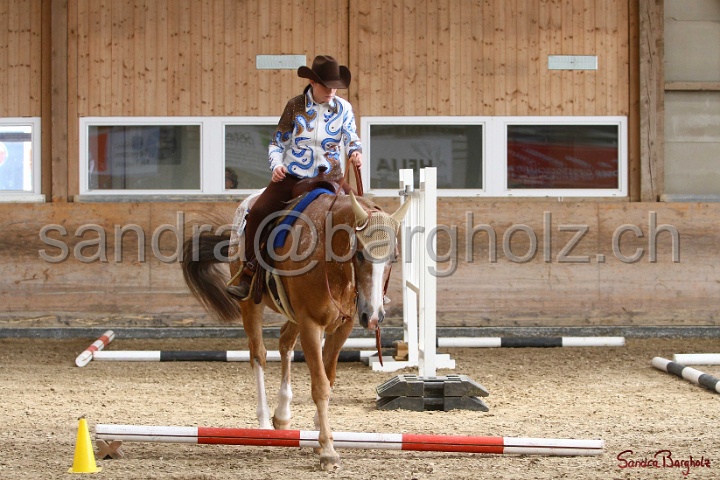 26-ApHC GT_212.jpg